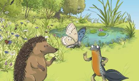 Marathon de la biodiversité